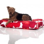 Fatboy Doggie lounge Marimekko