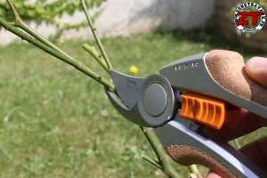 Sécateur à lame franche Fiskars Quantum P100