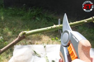 Sécateur à lame franche Fiskars Quantum P100