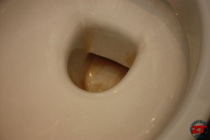 Calcaire-toilettes_16
