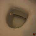 Calcaire-toilettes_21