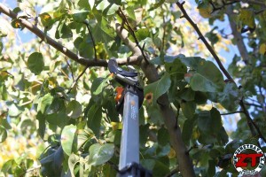 Coupe branches multifonctions télescopique Fiskars UP86