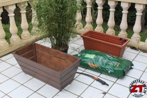 Rempoter une plante (bambou)