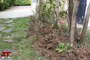 Installer bordure de jardin (7)