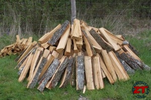 Fiskars WoodXpert Bucheronnage (3)
