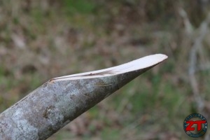 Fiskars WoodXpert Bucheronnage (37)