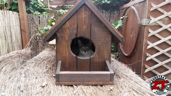 Tuto Construire Une Cabane Pour Chat