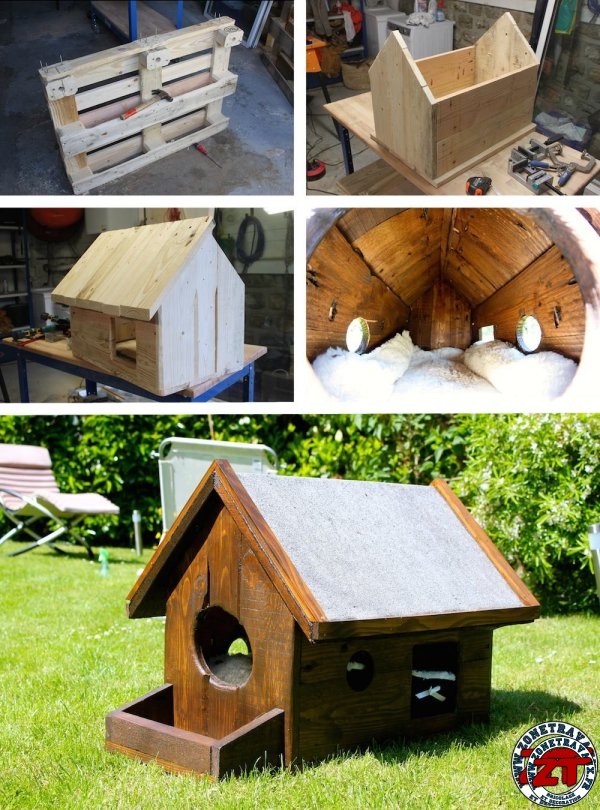 Tuto Construire Une Cabane Pour Chat