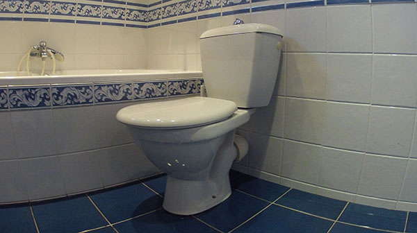 Reparer Des Toilettes Qui Fuient Pour Faire Des Economies