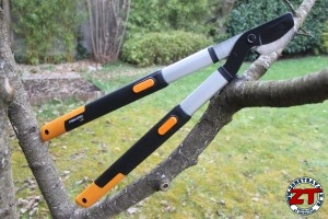 FISKARS Coupe branches L86