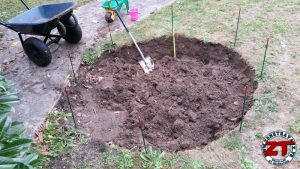 Tutoriel Jardinage : planter un arbre grand (liquidambar)