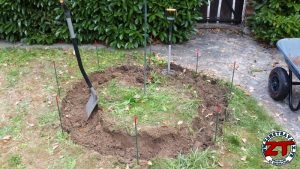 Tutoriel Jardinage : planter un arbre grand (liquidambar)