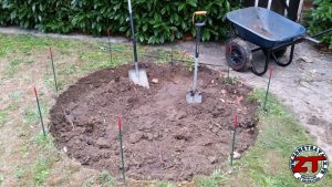 Tutoriel Jardinage : planter un arbre grand (liquidambar)