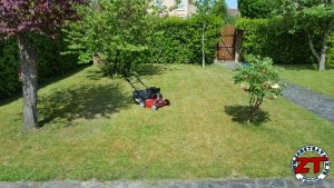 MTD Scarificateur Thermique OPTIMA 35 VO