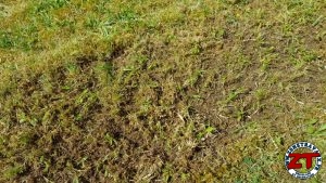 MTD Scarificateur Thermique OPTIMA 35 VO